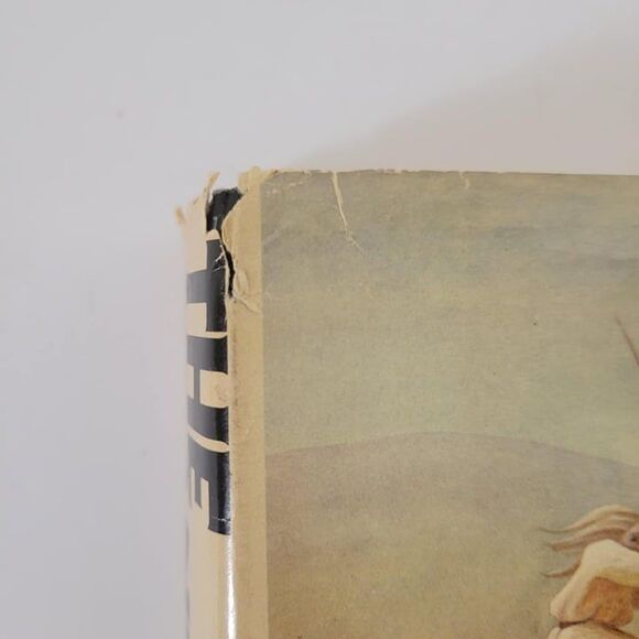 The Stand by Stephen King 1978 Hardcover DJ Book Club Edition Gutter Code T45 - Picture 5 of 9